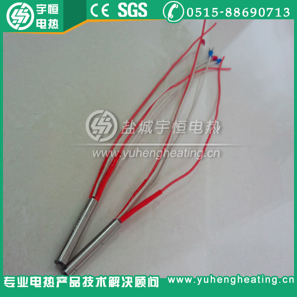帶熱電偶單頭加熱管