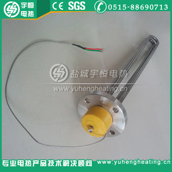 帶熱電偶測(cè)溫孔法蘭加熱管
